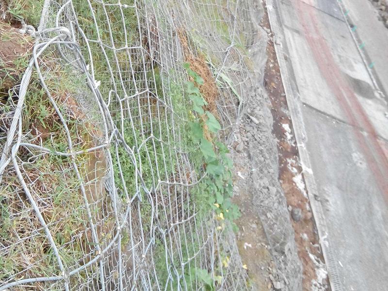清遠TC-65B型主動防護網