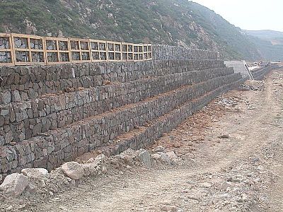 湖南雷諾護墊